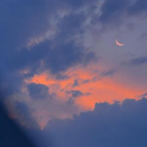 亚洲~首页~原始
