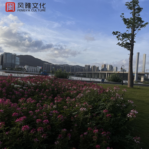 亚洲~首页~原始
